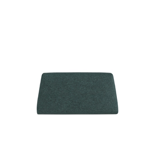 MOUNT CUSHION